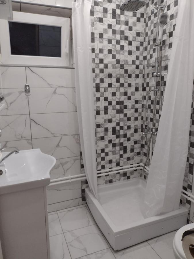Smestaj Stanisavljevic Soko Banja Ngoại thất bức ảnh